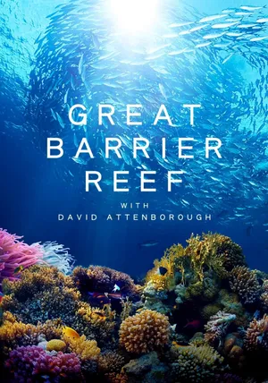 Khám phá rạn san hô great barrier cùng david attenborough Khám phá rạn san hô great barrier cùng david attenborough
